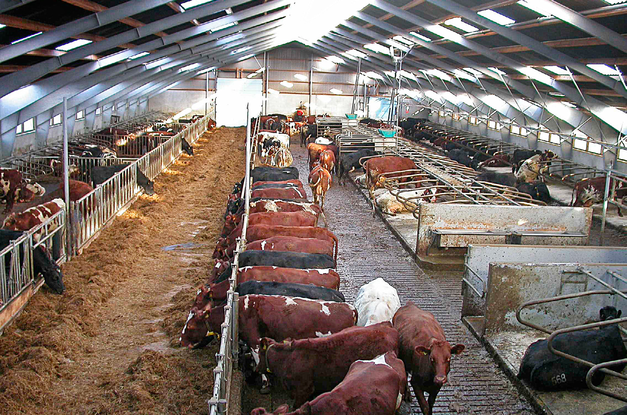 framtidsretta fj s buskap 5 2013-1