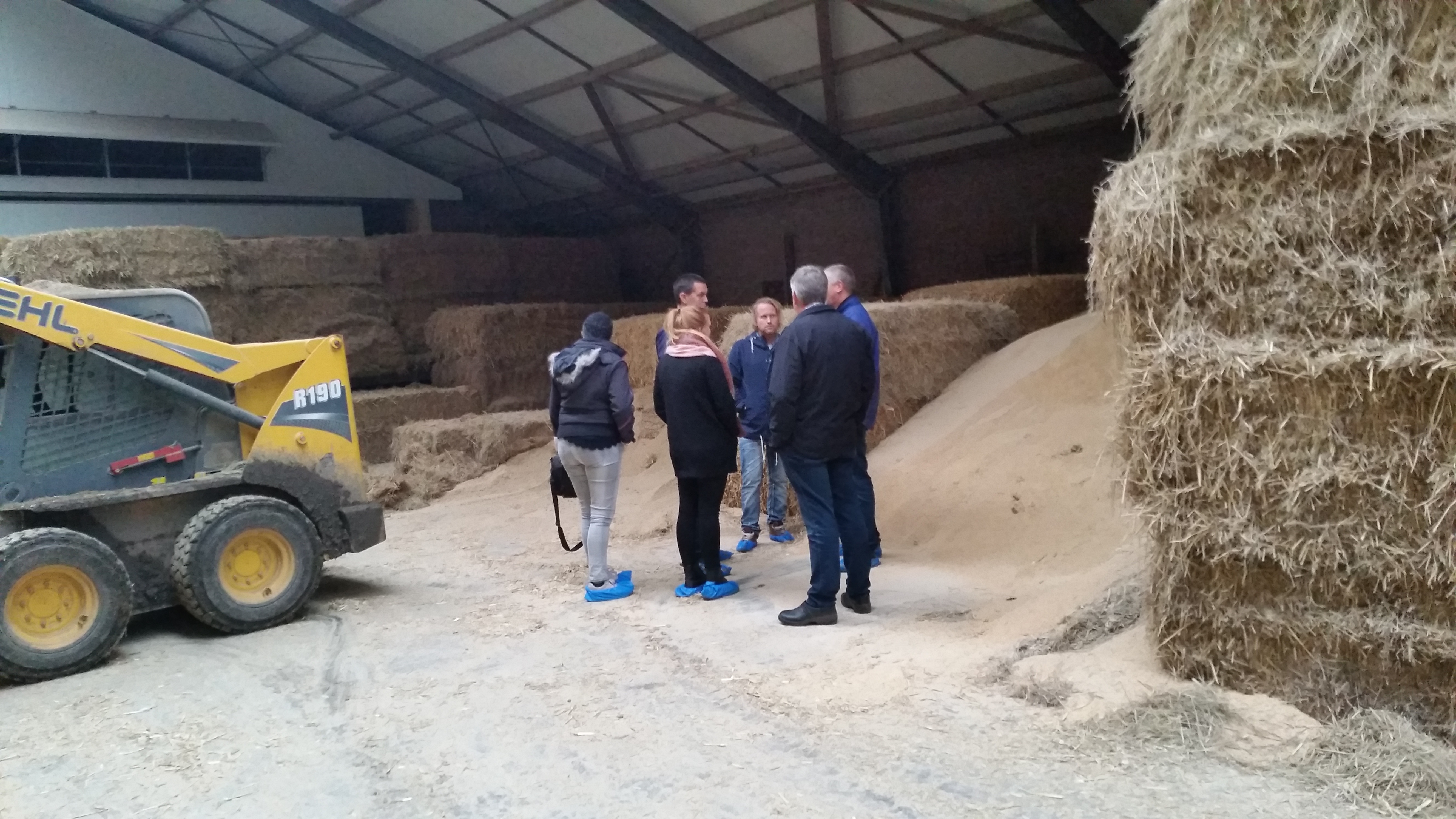 strategi og veivalg holland